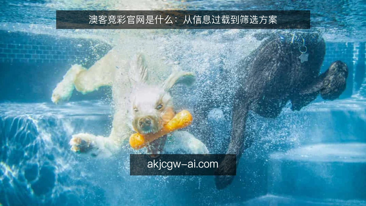 澳客竞彩官网是什么：从信息过载到筛选方案